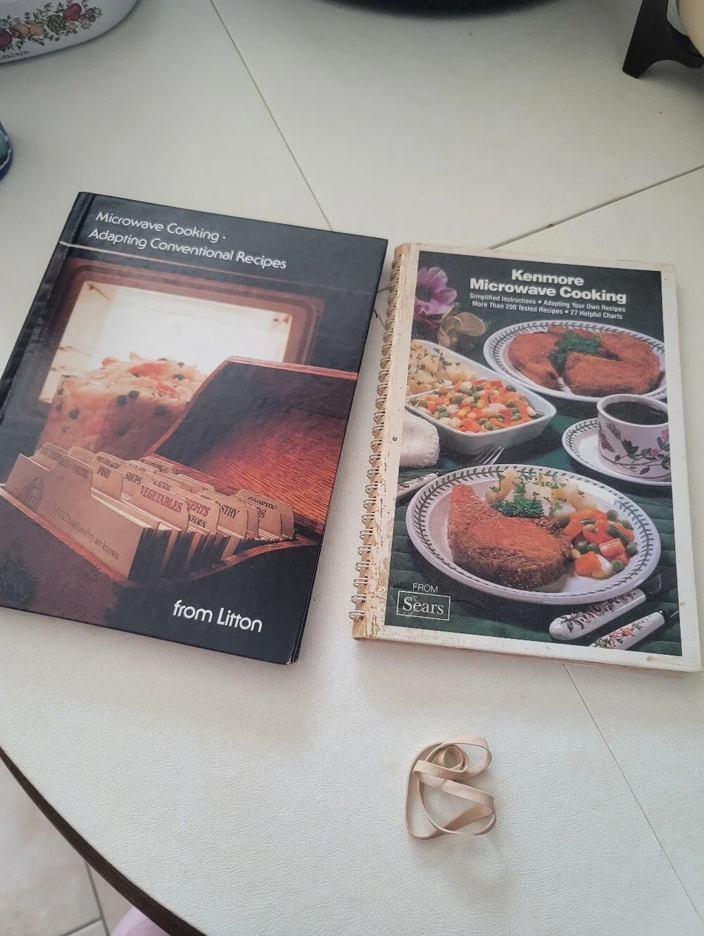 Vintage Microwave Cookbook Lot (2 Books) - Litton & Kenmore Sears 1979